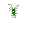 ICAR